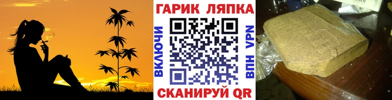Гашиш индика сатива  где можно купить наркотик  Казань 