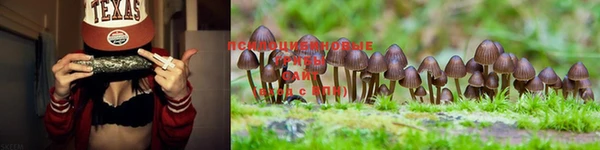 марки lsd Алзамай