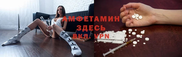 гашик Алексеевка