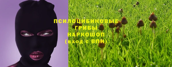 гашик Алексеевка