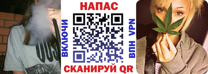 где купить наркотик  Казань  Конопля ГИДРОПОН 
